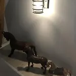 Au Grand Galop Э (Приморская Сена)