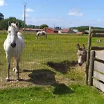 Au Grand Galop Э (Приморская Сена)