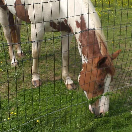 Au Grand Galop Дом отдыха